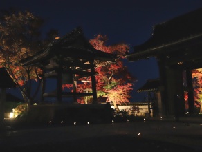 松本照男氏撮影